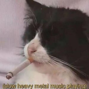 Meet your Posher, Jaamiecx